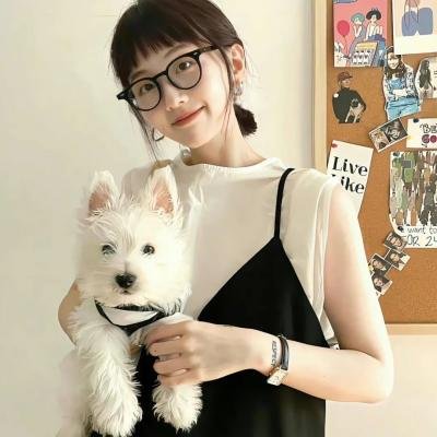 司总夫人太飒了